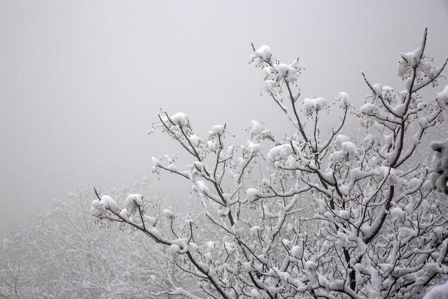 女用器具：人与自然的生命共感：“雪”意象与人生之境