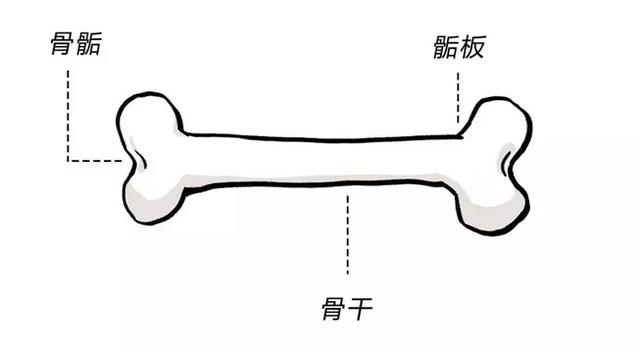 成人用品：成年人还能不能长高？一文揭开增高针、增高药的真相