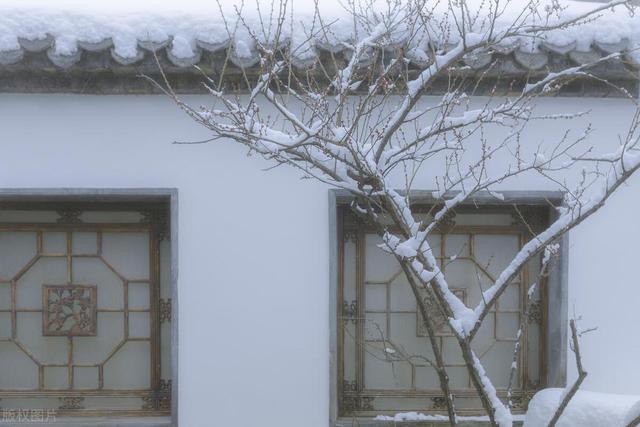 女用器具：人与自然的生命共感：“雪”意象与人生之境