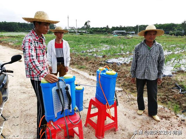 两性保健品：吡虫啉、噻虫嗪、噻虫胺、呋虫胺这四种杀虫剂，哪种杀虫效果好？