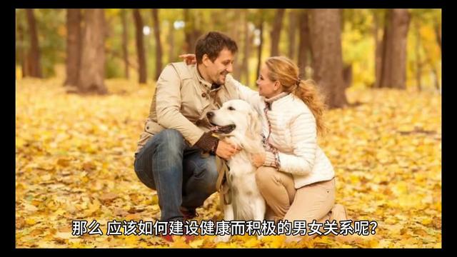 情趣用品：如何构建健康和谐的男女关系？