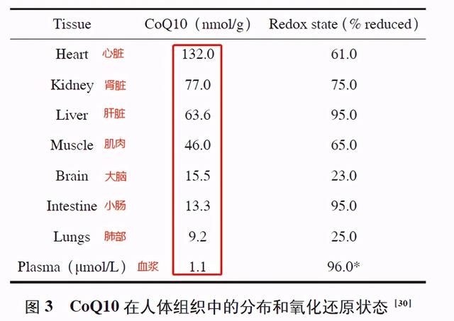 健康管理：辅酶Q10- 不单是他汀救赎，抗炎症脂性抗氧化物