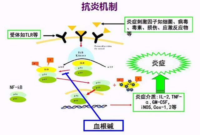 两性生活：40岁杭州男子，每天坚持吃六味地黄丸，身体后来怎么样了？