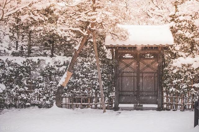 女用器具：人与自然的生命共感：“雪”意象与人生之境