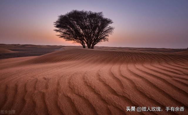 男性保健品：天天古诗词之意象（三）——凄凉悲伤的思绪和孤独惆怅的感情