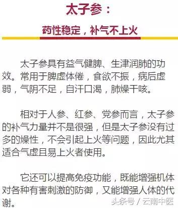 女用器具：人参、丹参、党参、西洋参……到底啥区别？功效用法都在这了