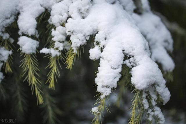 女用器具：人与自然的生命共感：“雪”意象与人生之境