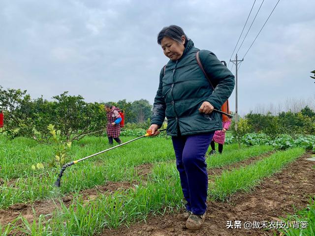 两性保健品：吡虫啉、噻虫嗪、噻虫胺、呋虫胺这四种杀虫剂，哪种杀虫效果好？