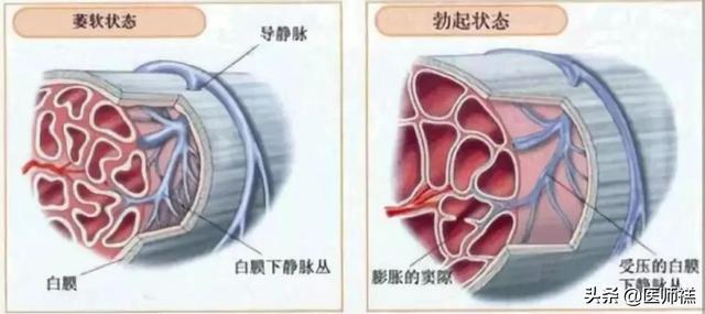 情趣用品：这些保健品产品你买过多少，医生给你详细解释，避免入坑