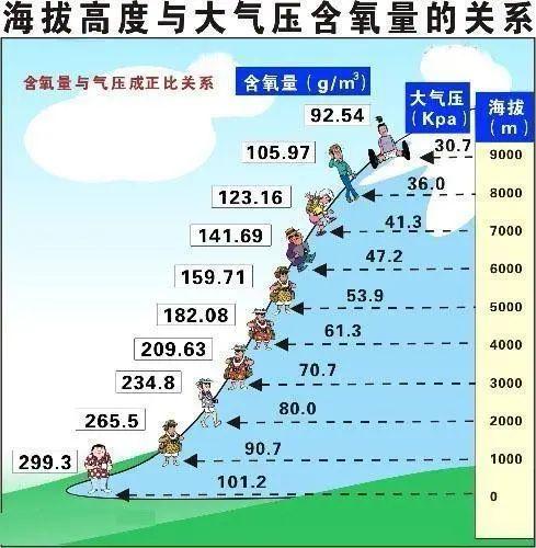 健康管理：能壮阳的伟哥，还能治高原反应？