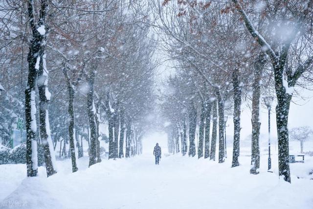 女用器具：人与自然的生命共感：“雪”意象与人生之境