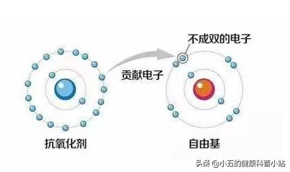 男性健康：补肾填精？延年益寿？聊一聊争议中的中成药——金水宝胶囊